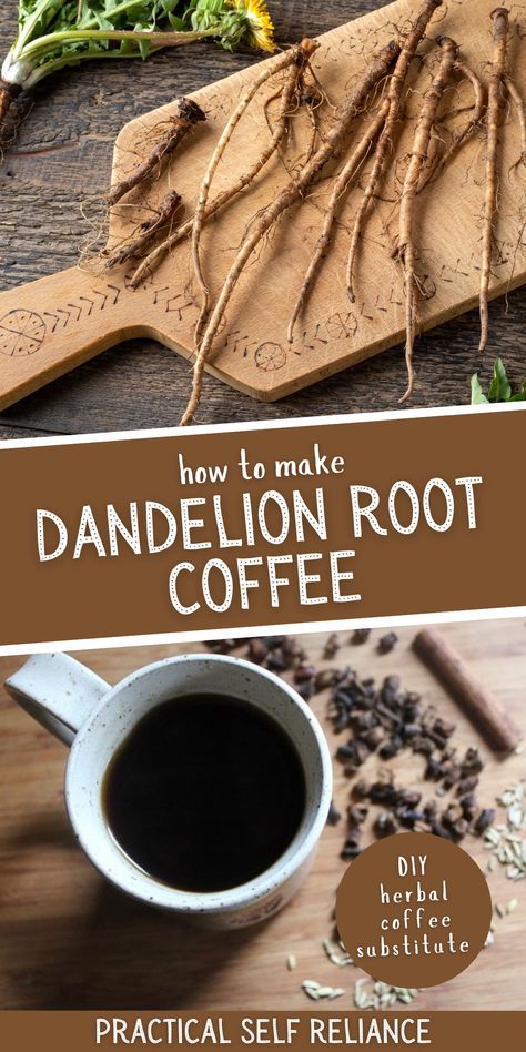 Roasting Dandelion Root, How To Roast Dandelion Root, Dandelion Uses And Benefits, Diy Dandelion Tea, Dandelion Root Coffee Recipe, Dandelion Recipes Tea, Dandelion Coffee Recipe, Dandelion Root Tea Recipe, Dandelion Root Recipes