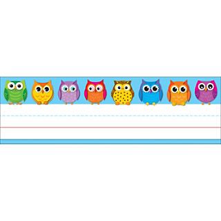 Classroom Supplies Organization, Student Name Tags, Classroom Schedule, Colorful Desk, Colorful Owl, Carson Dellosa, Writing Lines, Colorful Owls, Teacher Supplies