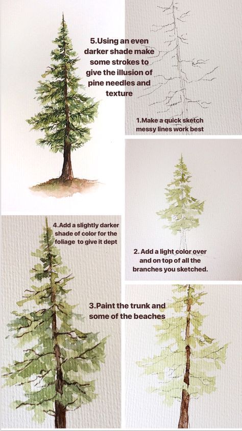 Pine Tree Painting, Art Tutorials Watercolor, Watercolor Tree, Watercolor Painting Techniques, Nature Artwork, Watercolor Art Lessons, Watercolor Paintings Tutorials, Watercolor Trees, Tree Drawing