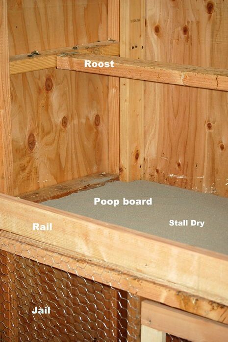 Chicken Roost, Dieting Tips, Chicken Coop Run, Backyard Chicken Farming, Raising Backyard Chickens, Chicken Coop Designs, Coop Plans, Keeping Chickens, Building A Chicken Coop