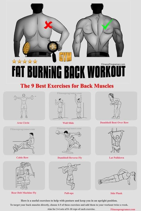 Back Workout For Men Gym, Back Exercises For Men, Gym Tricks, Back Workout For Men, Suspension Workout, Morning Sport, Arnold Workout, Back Workout Men, Gym Back Workout