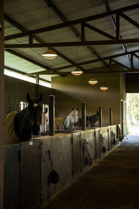 Argentina, Tack Rooms, Horse Stables Small, Colorful Curtains Living Room, Florida Farmhouse, Horse Yard, Living Room Colorful, Stable Style, Stall Fronts