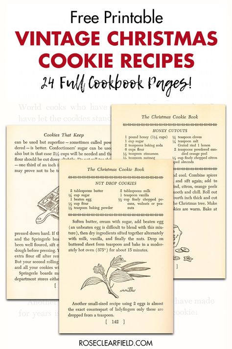 A collection of FREE printable vintage Christmas cookie recipe pages! 24 full cookbook pages to print featuring a variety of cookie recipes, including hand drawn illustrations, baking tips, and personal narrative. #freeprintables #Christmasprintables #vintagecookbook Free Printable Vintage Recipes, Vintage Recipe Cards Printable Free, Christmas Junk Journal Free Printable, Vintage Christmas Cookie Recipes, Organize Recipe, Vintage Christmas Printables, Free Christmas Printables Vintage, Cookbook Pages, Vintage Christmas Recipes