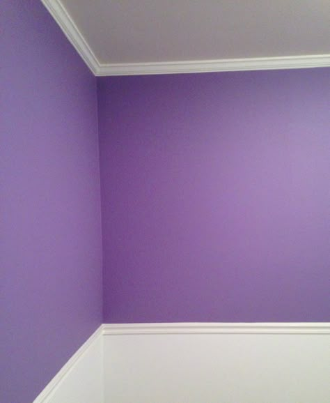 Purple Paint Room, Purple Room Wall Ideas, Room Painting Ideas Purple, Purple Painted Walls, Wall Color Purple, Purple Room Color, Purple Walls Room, Purple House Interior Ideas Living Room, Purple Wall Painting Ideas Bedroom