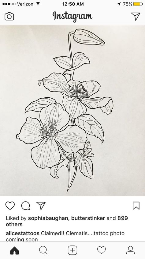 Clematis Tattoo Ideas, Clematis Flower Drawing, Clematis Flower Tattoo, Clematis Tattoo, 1975 Tattoos, 1975 Tattoo, Tattoo Elements, Behind Ear Tattoos, Paper Play