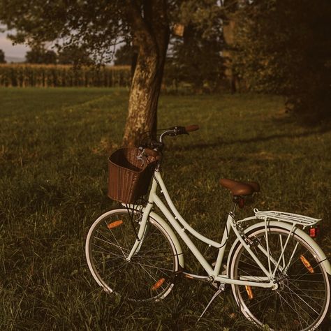 ˗ˏˋ𝚂𝚎𝚚𝚞𝚘𝚒𝚊´ˎ˗ — To live happily and to live according to nature is... Bicycle Aesthetic, Bicycle Pictures, Bike Aesthetic, Velo Vintage, Pretty Bike, Vintage Bike, + Core + Aesthetic, Spring Vibes, Vintage Bicycles