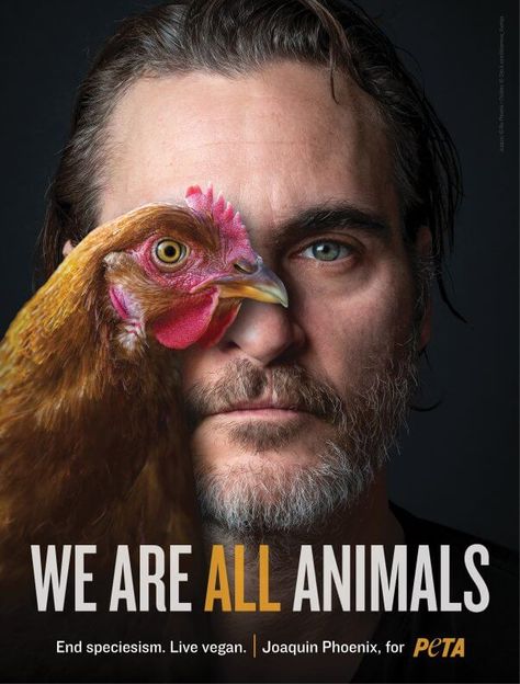 'Joker' Star Joaquin Phoenix Joins PETA to 'End Speciesism' Der Joker, Vegan Memes, Animal Activism, Vegan Quotes, Animal Liberation, Why Vegan, Animal Rights Activist, The Americans, All Animals