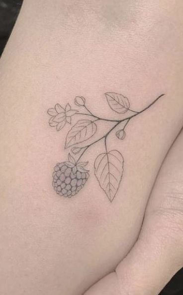 Simple Blackberry Tattoo, Blackberry Tattoo Black And White, Rasberry Tattoos Simple, Raspberry Plant Tattoo, Wild Raspberry Tattoo, Raspberry Tattoo Minimalist, Berry Tattoos, Snall Tattoos, Berry Tattoo