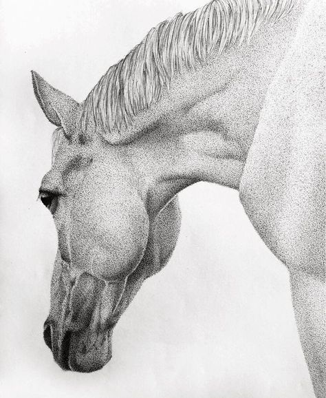 Each Piece I Create Using Pointillism Technique Takes Up To Couple Of Hundred Hours To Make Pointalism Art, Stippling Drawing, Beautiful Pencil Drawings, Dotted Drawings, Drawing Portraits, Stippling Art, Small Canvas Paintings, Horse Drawings, Gcse Art