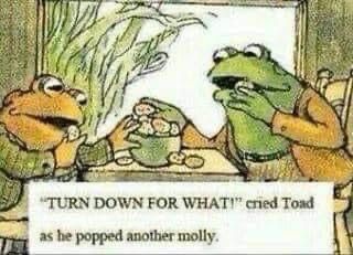 Turn Down For What, This Is Your Life, Mia 3, Humor Grafico, Frog And Toad, Memes Humor, Komik Internet Fenomenleri, E Card, What’s Going On