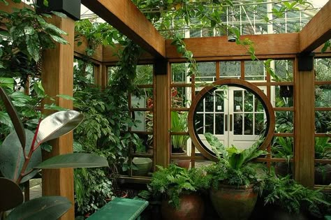 My Home Greenhouse Gazebo by John 3000, via Flickr Japanese Greenhouse, Greenhouse Gazebo, Greenhouse Home, Lush Plants, Indoor Greenhouse, Home Greenhouse, Wooden Greenhouses, Greenhouse Ideas, Greenhouse Plans