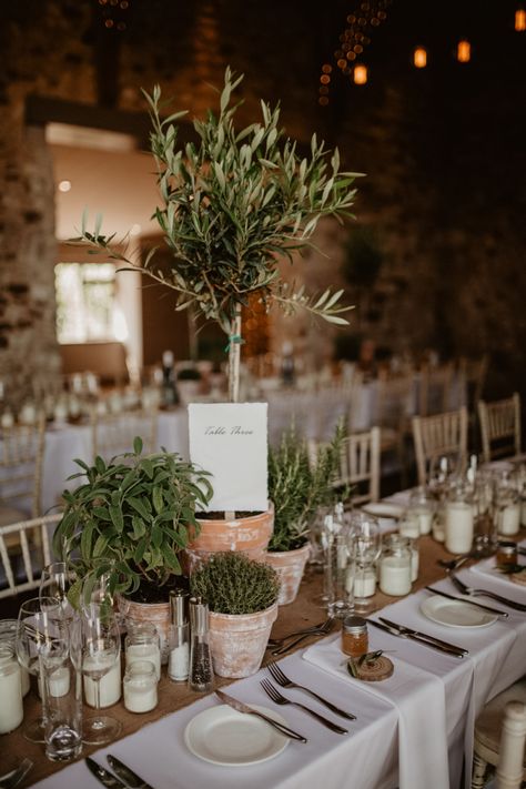 Herb Wedding Centerpieces, Rose Gold Sequin Bridesmaid Dress, Succulent Wedding Cake, Herb Centerpieces, Gold Sequin Bridesmaid Dress, Herb Wedding, Olive Wedding, Sequin Bridesmaid, Foliage Wedding