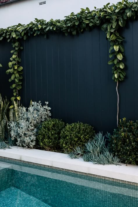 Garden Pool Design, Pool Plants, Outdoor Pool Area, Succulent Gardens, Pool Landscape Design, Pot Garden, Small Pool Design, Plants Growing, Plants Outdoor