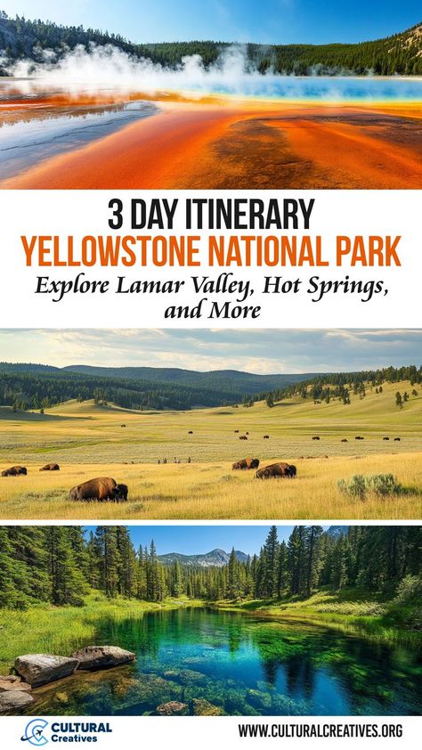 3 Day Itinerary Yellowstone National Park featuring colorful hot springs, roaming bison in Lamar Valley, and a serene forest stream surrounded by lush greenery. Hiking In Yellowstone National Park, Yellowstone National Park Vacation, Grand Prismatic Spring, Wyoming Vacation, Grand Prismatic, Lamar Valley, National Park Vacation, Old Faithful, Scenic Drive