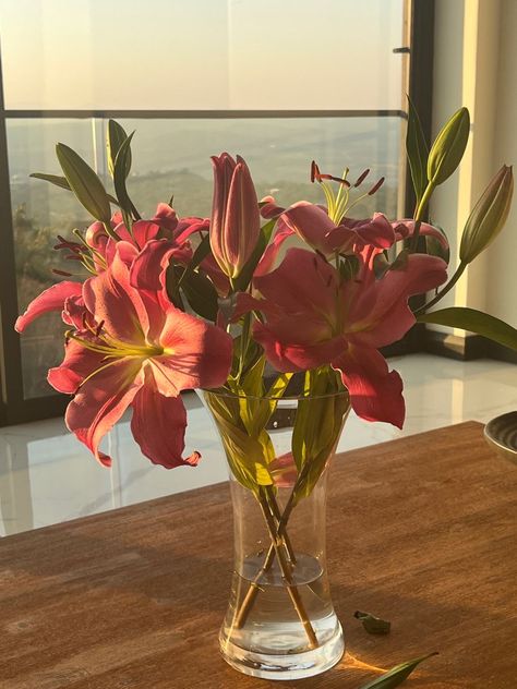 Pink Flowers, Vase, Glass, Flowers, Pink