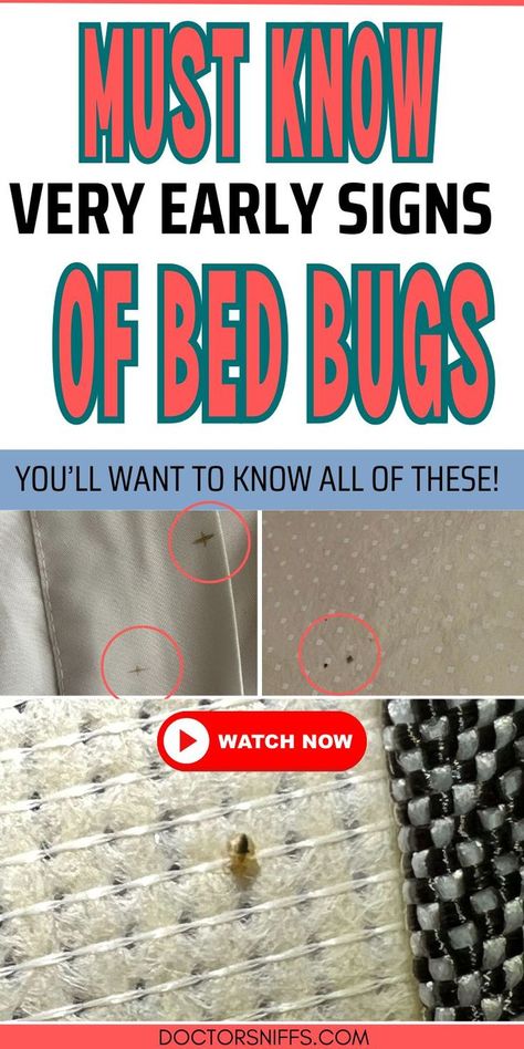 Must Know Bed Bug Signs Signs Of Bed Bugs, Ink Spots, Bed Bug, Bed Bugs, Bugs And Insects, Pale Yellow, Bugs, Mattress, Shed