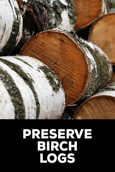 How to Preserve Birch Logs Birch Logs Fireplace Decor, Birch Wood Crafts Diy Projects, Diy Birch Logs, White Birch Logs Decor, Birch Logs Christmas Decor, Birch Log Decor Diy Projects, Birch Branch Ideas, Birch Tree Crafts, Birch Bark Crafts Diy