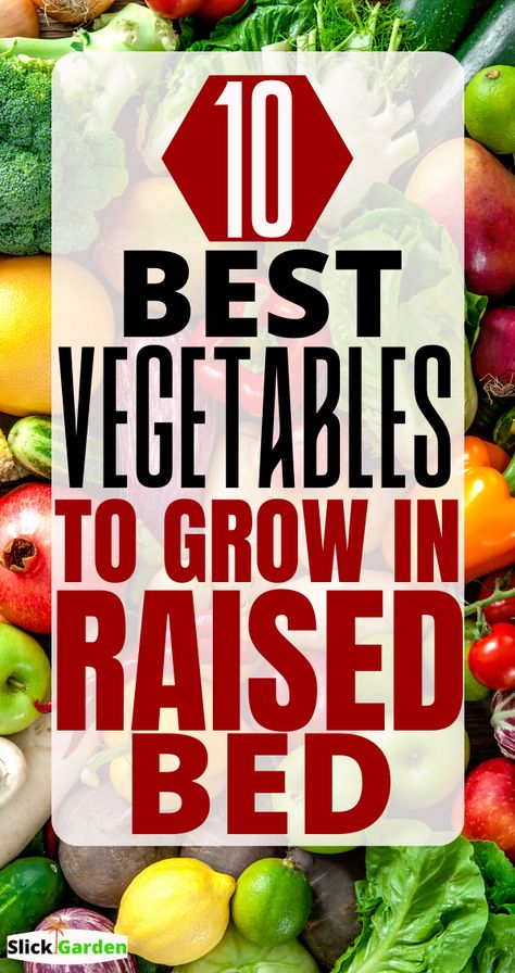 Best Raised Garden Beds Veggies, Raised Gardening For Beginners, Raised Garden Vegetable Layout, Best Plants For Garden Beds, Spring Raised Bed Garden, Raise Beds Gardening, Raised Garden Bed Tips, What To Put In A Raised Garden Bed, Raised Planter Ideas Outdoor