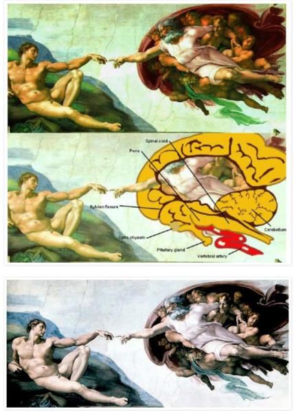 The Creation Of Adam, Pineal Gland, Spirit Science, Special Images, Sistine Chapel, Ancient Knowledge, Ancient Mysteries, Eye Of Horus, Miguel Angel