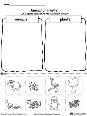 **FREE** Animal and Plant Sorting Worksheet. Use the Animal and Plant Sorting printable worksheet to teach children about the differences between animals and plants by sorting them into different categories. #MyTeachingStation Sorting Items Into Categories, Plants And Animals Kindergarten, Kindergarten Science Lessons Free, Sorting Worksheet, Plants Kindergarten, Plants Worksheets, Animal Worksheets, Kindergarten Worksheets Printable, Worksheets For Kindergarten