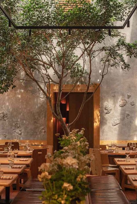 Modern Latin Restaurant Design, Maximo Bistrot Mexico City, Best Restaurants Mexico City, Mexico City Hotel, Mexico City Aesthetic, Spain Restaurant, Mexico Town, Mexico Restaurant, Condesa Mexico City