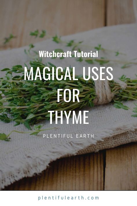 Spiritual Uses Of Thyme, Magical Properties Of Thyme, Thyme Properties Magic, Thyme Magical Properties, Earth Spirituality, Thyme Benefits, Thyme Uses, Herb Magick, Thyme Plant