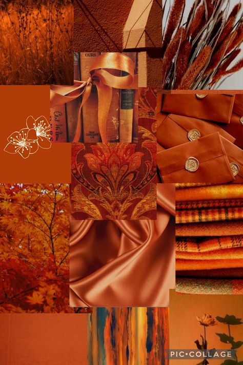 Orange Mood Board Aesthetic, Orange Dark Academia, Burnt Orange Aesthetic Wallpaper, Wallpaper Naranja, Wallpaper Borders For Bathrooms, Burnt Orange Aesthetic, Moodboard Orange, Burnt Orange Wallpaper, Orange Widget