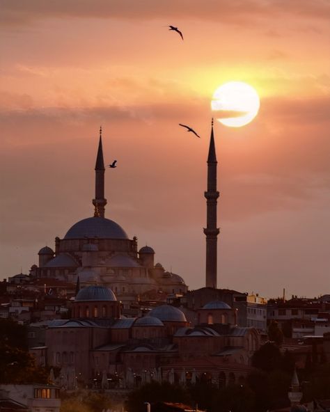 📜Santa Sofía de Constantinopla, construida en el siglo VI d.C., es un monumento icónico que ha sido testigo de los eventos más significativos de la historia. Originalmente una iglesia cristiana, luego mezquita bajo el dominio otomano y ahora un museo en Turquía, representa la convergencia de culturas y religiones. Su arquitectura impresionante, con su cúpula gigantesca y mosaicos bizantinos, refleja la grandeza del Imperio Bizantino. Santa Sofía ha sido testigo de coronaciones, concilio... Sofia