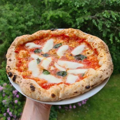 Authentic Neapolitan Pizza Dough Recipe Authentic Napoli Pizza Dough, Pizza Dough Recipe Neapolitan, Neapolitan Pizza Sauce, Neopolitan Pizza Dough Sourdough, 72 Hr Pizza Dough, Napolitano Pizza Dough Recipe, Napolian Pizza Dough, Pizza Napolitana Recipe, Napoleon Pizza Dough Recipe