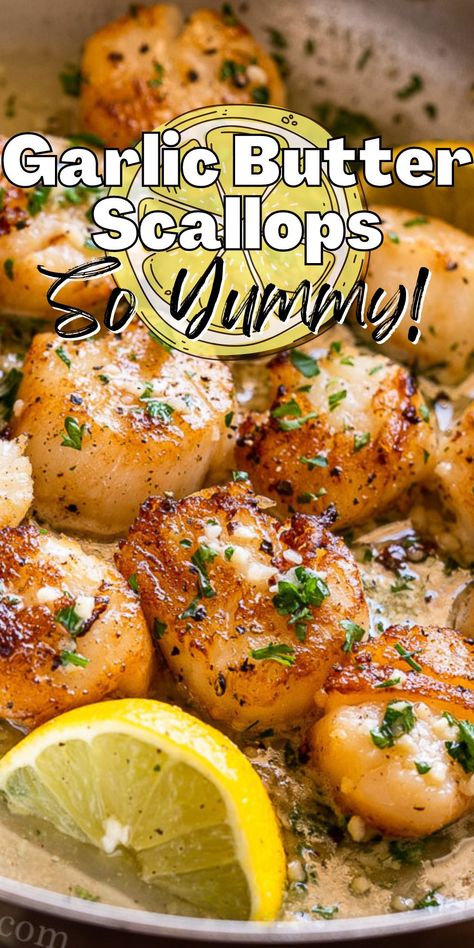 Steak And Scallops Recipes, Bay Scallops And Pasta, How To Cook Scallops In Pan, Bay Scallop Recipes Easy, Air Fryer Scallops Recipe, Butter Scallops Recipe, Garlic Butter Scallops Recipe, Garlic Butter Scallops, Simple Garlic Butter