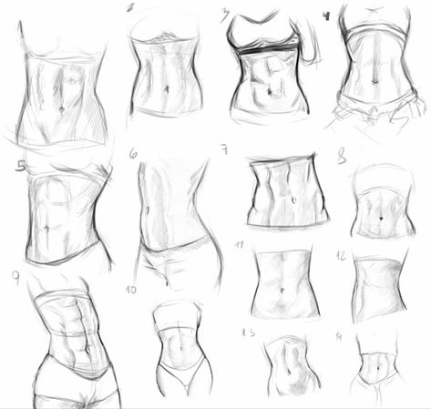 Body Reference Sketch Female, Abs On Woman Drawing, Abs Reference Drawing Female, Abs Sketch Female, Drawing Women Bodies Sketch, Drawing Abs Female, Abs Drawing Women, Abdomen Anatomy Drawing, Female Muscular Body Drawing