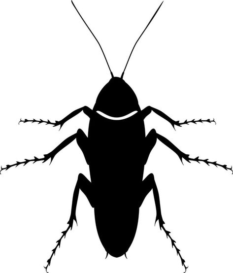 Cockroach graphic sign. Cockroach silhouette illustration Cockroach Illustration, Silhouette Illustration, Vector Sketch, Black And White Illustration, Vector Free, Decor Ideas, Sketch, Clip Art, Black And White