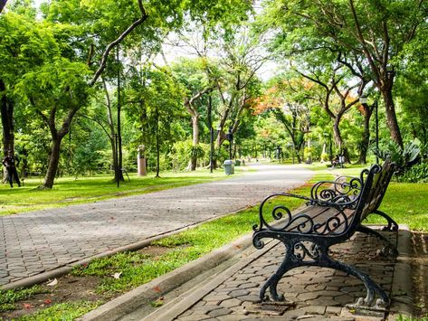 Top 20 of the most beautiful parks in London - GlobalGrasshopper Green Park London, London Park Aesthetic, Green Park Aesthetic, Park Reference, Beautiful Places In London, Aesthetic Park, London Parks, Park Background, Park Aesthetic