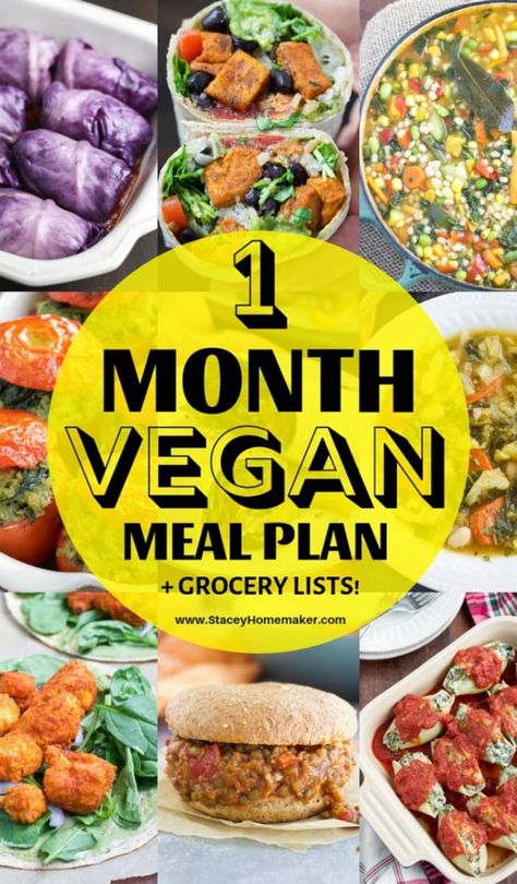 This guide will help you through your first full month as a vegan! It contains a healthy vegan grocery list for beginners, a 1-month meal plan + printable grocery lists, and tons of delicious recipes! Vegan Meal Plan With Grocery List, Vegan For Beginners Meals, Vegan Monthly Meal Plan, Vegetarian Grocery List For Beginners, Vegan Daily Meal Plan, Vegan Meal Plans For Beginners, Beginner Vegan Meal Plan, Vegan Beginner Meals, Going Vegan For Beginners