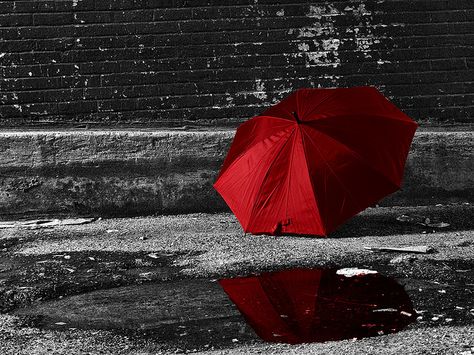 red umbrella  - beautiful Red Brolly, Color Splash Photography, Red Photography, Red Rose Bouquet, Red Umbrella, Red Walls, Cool Landscapes, Dancing In The Rain, Bathroom Art