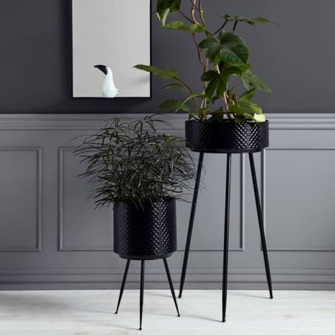 Trouva: Nordal Black Indian Metal Planter With Legs Decoration Hall, Iris Hantverk, Iron Planters, Black Planters, Plant Vase, House Plants Decor, Metal Planters, Decorative Planters, Small Planter