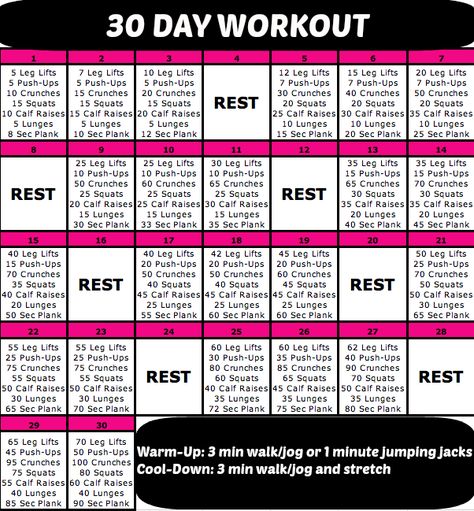 Daily Workout Challenge, Day Workout Plan, Summer Workout Plan, Figure Workout, Hourglass Figure Workout, 30 Day Workout Plan, Hourglass Workout, Small Waist Workout, Workout Plan For Beginners