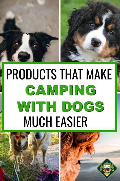 Camper Hacks With Dogs, Rv With Dogs Ideas, Rv Dog Hacks, Dogs In Camper, Rv Camping With Dogs Hacks, Rv Pet Hacks, Camper Dog Ideas, Dog Rv Ideas, Rv Dog Ideas