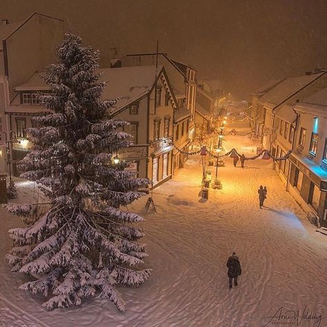 NORWAY 🇳🇴 on Instagram: “Winter in Harstad, North Norway❄️ Tag someone you would visit this winter paradise with!  #Norge photo by @arnewidding” Harstad Norway, Christmas In Norway, Winter In Norway, North Norway, Norway Christmas, Norway Nature, Popular Photography, Train Photography, Christmas Town