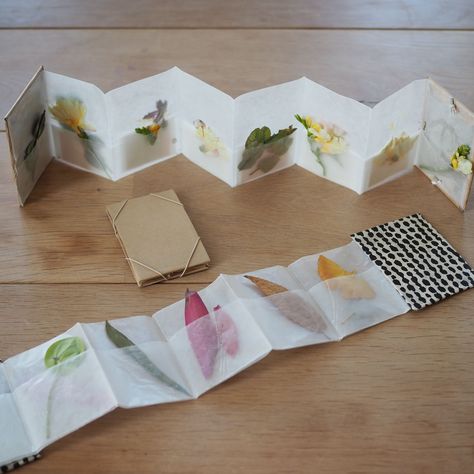 make your own: paper petal press. – Reading My Tea Leaves – Slow, simple, sustainable living. Nature Zine, Paper Bag Art, Light Library, Erin Boyle, Reading My Tea Leaves, Make Your Own Paper, Tiny Books, Flower Press, Accordion Book