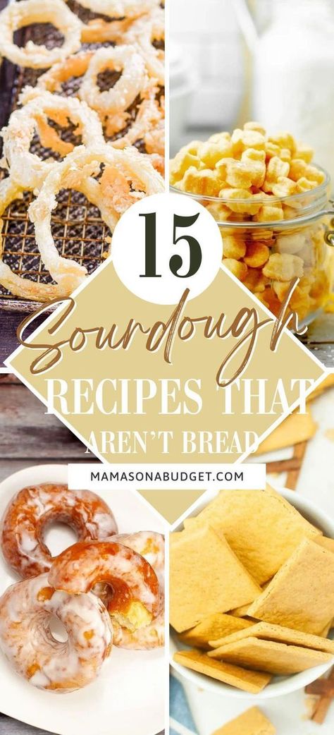 These delicious recipes are an excellent way to use your sourdough starter! You will love these recipes! Different Flavor Sourdough Bread, What To Make With My Sourdough Starter, Sourdough Scrap Recipes, Sourdough Starter Recipes Not Bread, Amish Sourdough Starter, Sourdough Recipe Ideas, Sourdough Recipes Using Starter, Sourdough Same Day Recipe, Things To Make With Sourdough Starter