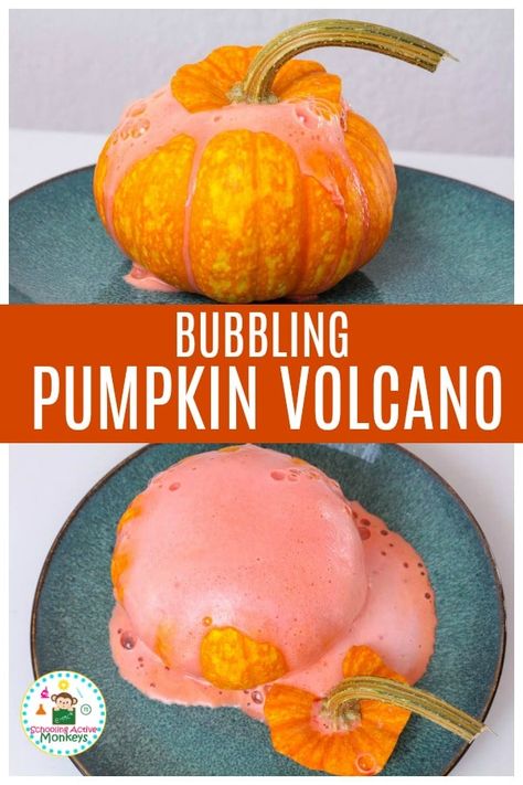 How much fun will the kids have with this pumpkin volcano? This fun pumpkin science experiment is perfect for a Halloween party activity or fall party activity for kids! #stemed #stemactivities #scienceexperiments #scienceforkids #fallactivities Science Volcano, Pumpkin Volcano, Fall Stem Challenges, Volcano For Kids, Forest Activities, Pumpkin Science Experiment, Fun Chemistry, Fall Stem Activities, Making A Volcano