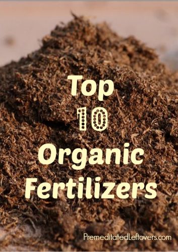 Organic Vegetable Garden, Garden Compost, Organic Gardening Tips, Organic Fertilizer, Organic Vegetables, Garden Soil, Veggie Garden, Farm Gardens, Edible Garden