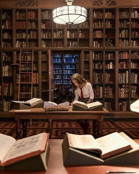 Working At A Library Aesthetic, Dark Academia Study, Lots Of Books, Academic Aesthetic, Dark Acadamia, Dream Library, Chaotic Academia, Library Aesthetic, Book Stores