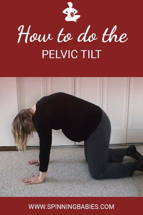 How to do the Pelvic Tilt - Do in pregnancy to keep your sacrum flexible and your spine comfortable! #Childbirth #Pregnancy via @spinningbabies Pelvic Tilt Exercise, Labor Techniques, Posterior Baby, Turn A Breech Baby, Posterior Pelvic Tilt, Exercise Pregnancy, Breech Babies, Spinning Babies, Pregnancy Checklist