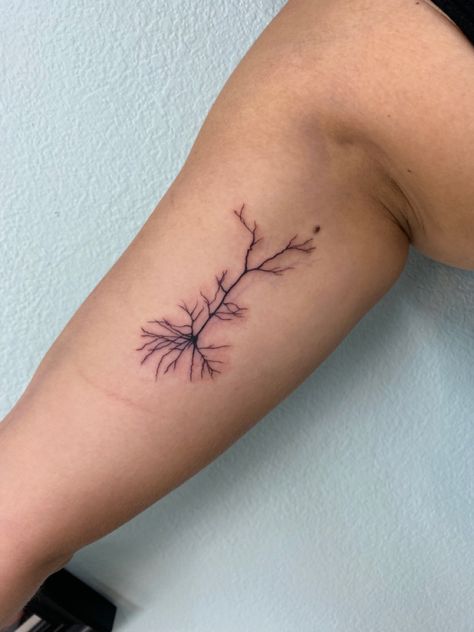 Pyramidal neuron golgi stain Brachial Plexus Tattoo, Epileptic Brain Tattoo, Neurology Tattoo Ideas, Nerve Cell Tattoo, Neuron Flower Tattoo, Narcoleptic Tattoo, Neurosurgeon Tattoo, Synapse Tattoo, Cool Science Tattoos