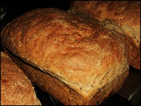 How To Make Ezekiel Bread, Ezekiel 4:9 Bread Recipe, Diy Ezekiel Bread, Ezekial Bread Recipes, Gluten Free Ezekiel Bread Recipe, Homemade Ezekiel Bread Recipe, Unrefined Carbs, Einkorn Bread Machine Recipe, Soughdough Bread