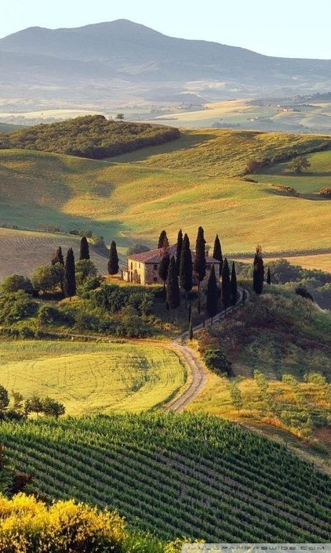 Tuscany Landscape, Italian Countryside, Italy Aesthetic, Alam Yang Indah, Nature Aesthetic, Pretty Places, Travel Aesthetic, Phone Wallpapers, Toscana