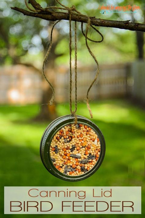 Mason Jar Lid Bird Feeder | Make this simple bird feeder inside of a canning lid. This is a great project to do with kiddos. Vacation Crafts, Mason Jar Lids Crafts, Jar Lid Crafts, Bird Seed Ornaments, Mason Jar Lid, Diy Hanging Shelves, Mason Jar Projects, Canning Lids, Diy Bird Feeder