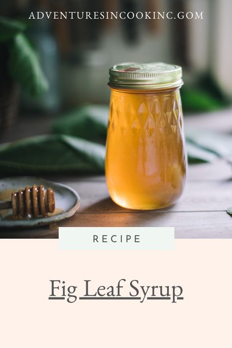 Pinecone Syrup Recipe, Fig Leaf Syrup, Fig Leaf Tincture, Fig Syrup Recipes, Fig Leaf Recipes, Figs Recipes, Fig Leaf Tea, Fig Syrup, Rustic Food Photography